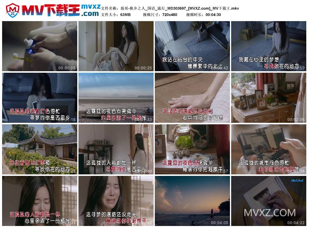 浪哥-他乡之人_国语_流行_MD303697